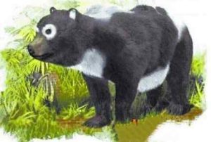 始熊猫：中国大熊猫的祖先,竟是恐怖的肉食动物